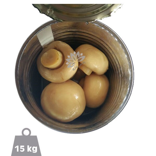 قارچ دکمه ای بلنچ حلبی 15 کیلوگرمی
