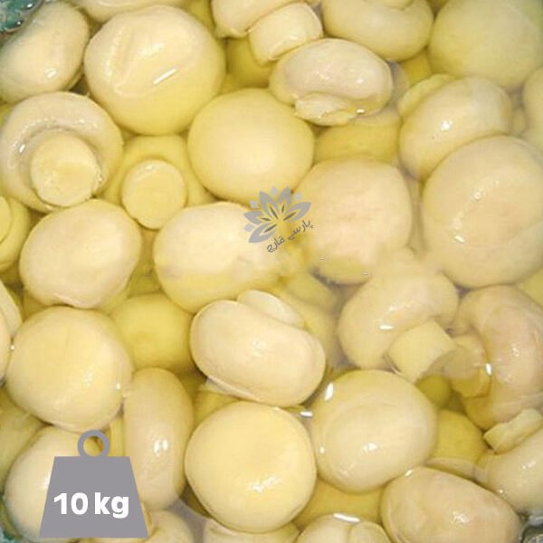 قارچ دکمه ای بلنچ دبه ای 10 کیلوگرمی