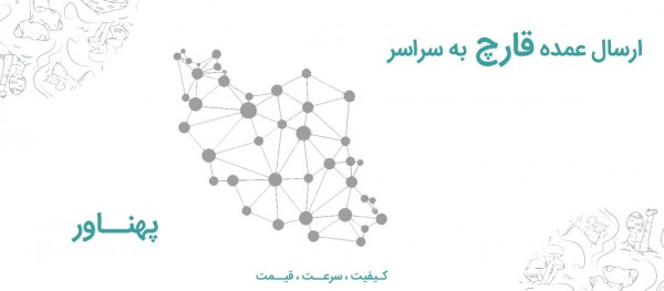 ارسال عمده قارچ به سراسر ایران