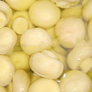 قارچ دکمه ای بلنچ شده