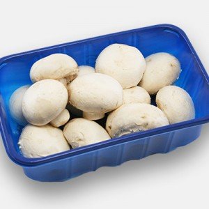 قارچ دکمه ای بسته بندی
