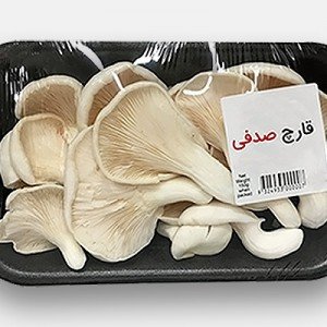قارچ صدفی بسته بندی