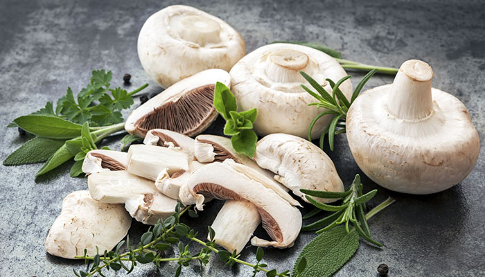 14 Therapeutic properties of white button mushroom-2