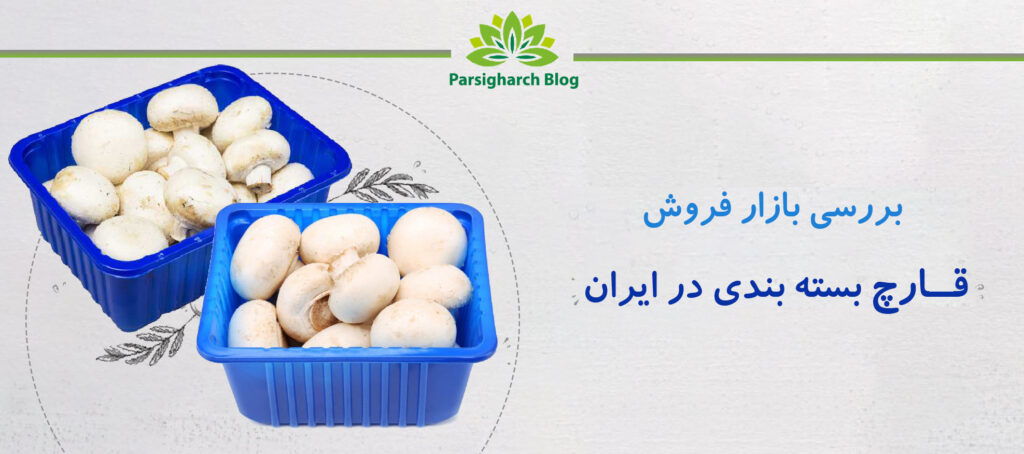 فروش قارچ بسته بندی دکمه ای در ایران
