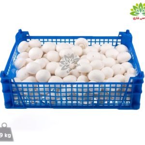 قارچ دکمه ای ریز سبدی 9 کیلوگرمی
